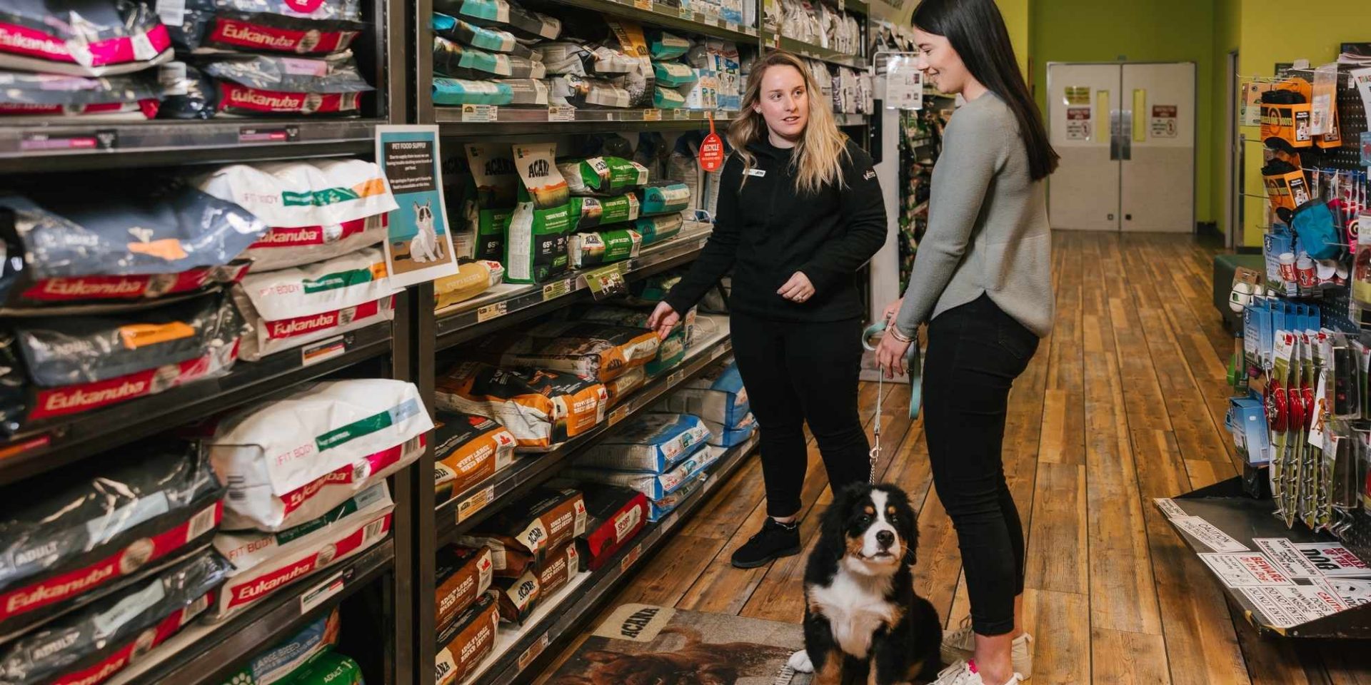Benefits of premium pet food – Totally Vets