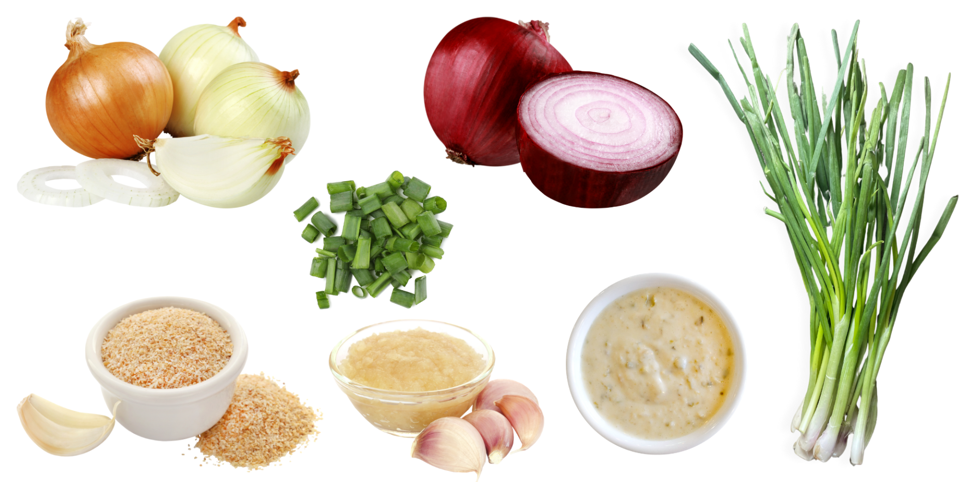 A variety of onions and garlic including garlic powder, crushed garlic and onion dip. They are all poisonous to pets 